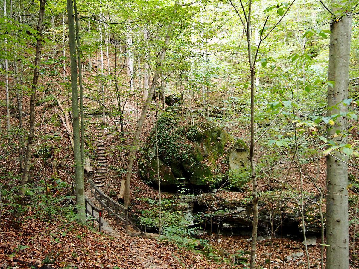 Carter Caves State Resort Park Olive Hill Exterior photo